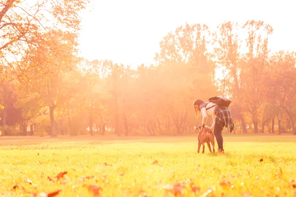 Осенняя прогулка по лесу — стоковое фото